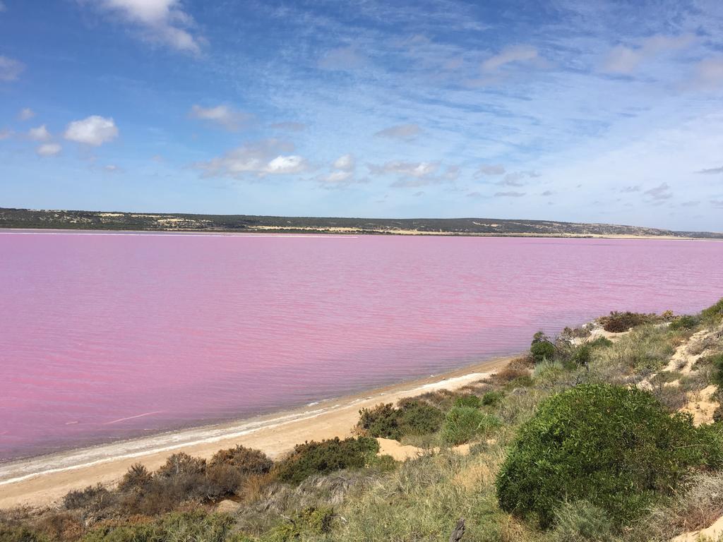 Port Gregory Caravan Park Bagian luar foto